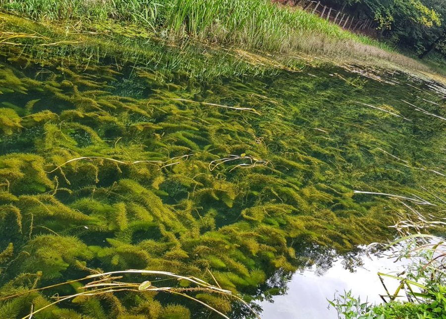 Papul Nature Park Slavonia - UNESCO Geopark 12