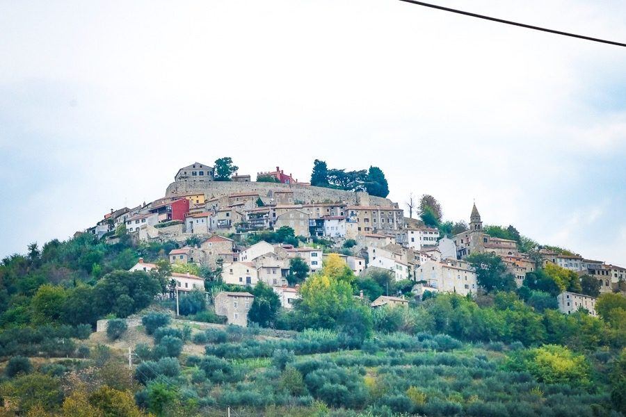 Things To Do In Motovun - Miro Tartufi