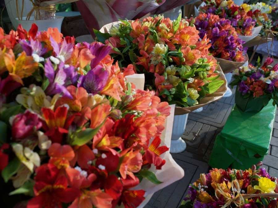 Top Things To Do In Chișinău, Moldova_Flower market