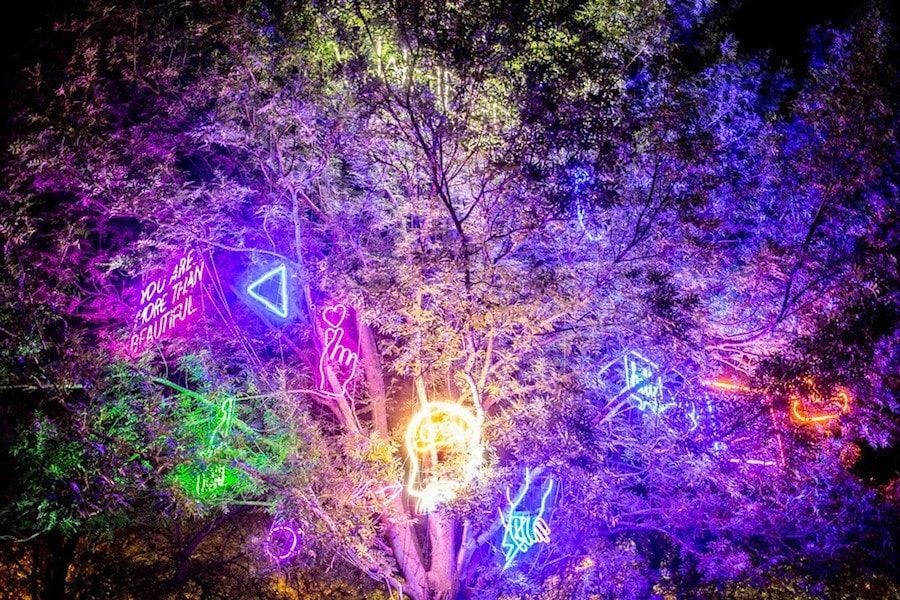 Balkans Travel Blog_Things to do in Bulgaria_Music Festivals in Bulgaria_Sziget Music Festival