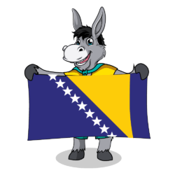 Balkan Flags_Bosnia-Herzegovina 2