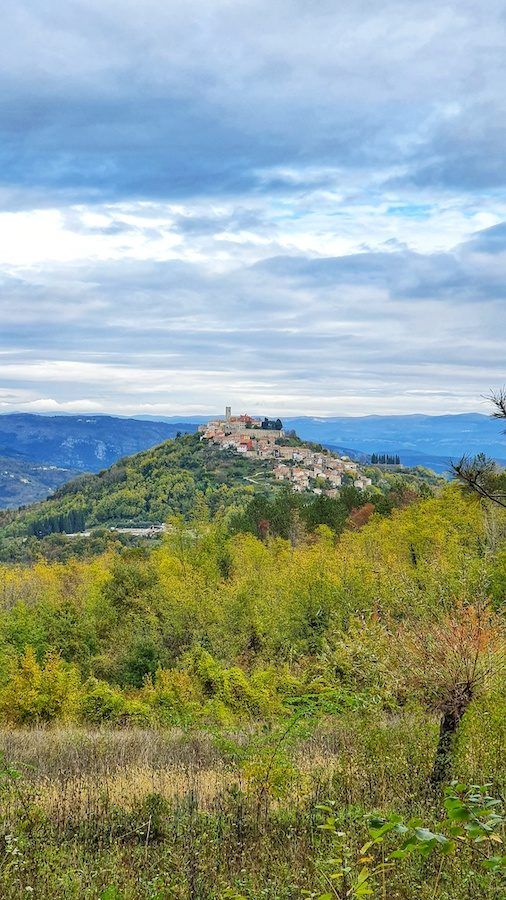 Motovun From Truffle Forrest