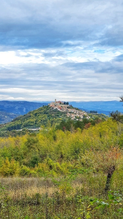 Motovun From Truffle Forrest