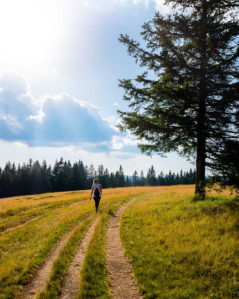 best things to do in rogla slovenia 3