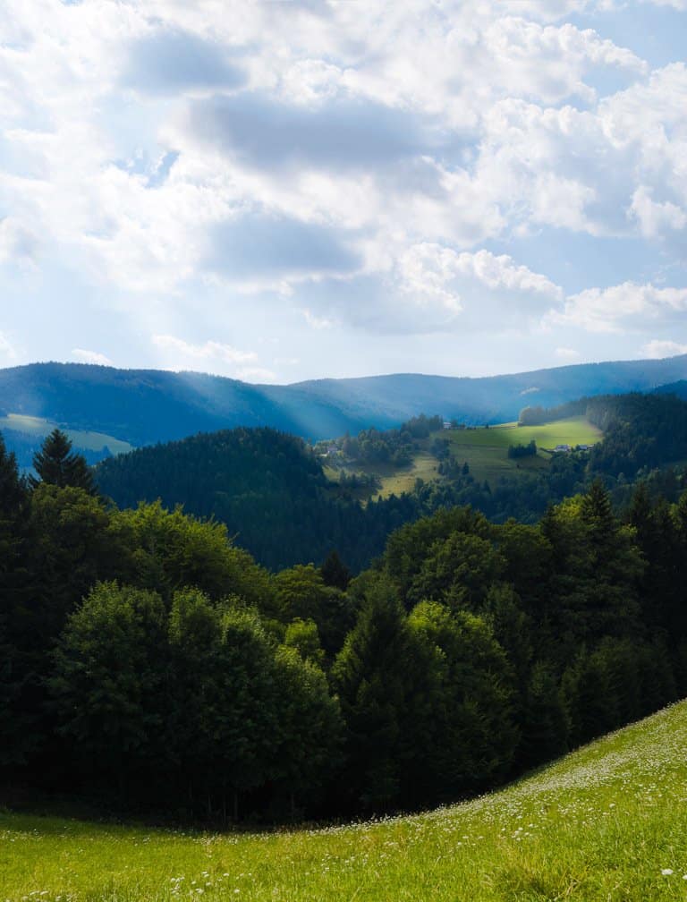 best things to do in rogla slovenia 5