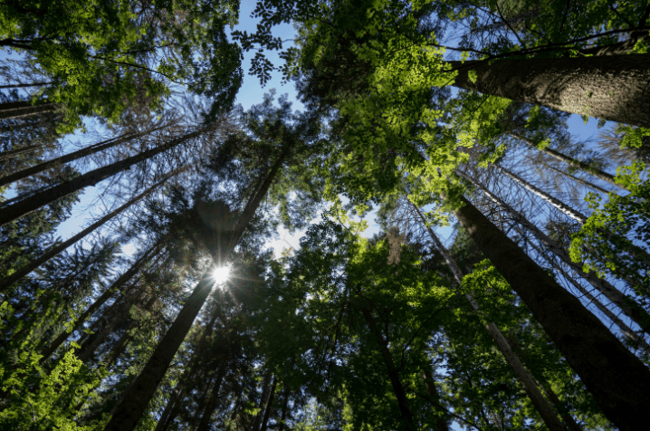 Wellness Retreats In Croatia - Photo Credit: Linden Tree Retreat & Ranch