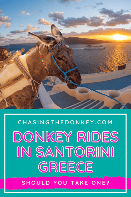 Greece Travel Blog_Why You Should Not Ride Donkeys In Santorini