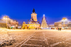 How to get from Brasov to Bucharest - Brasov, Romania with an old Christmas tree