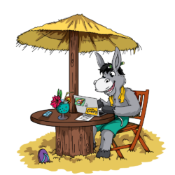 DIGITAL NOMAD DONKEY - DONKIMIR AT THE BEACH