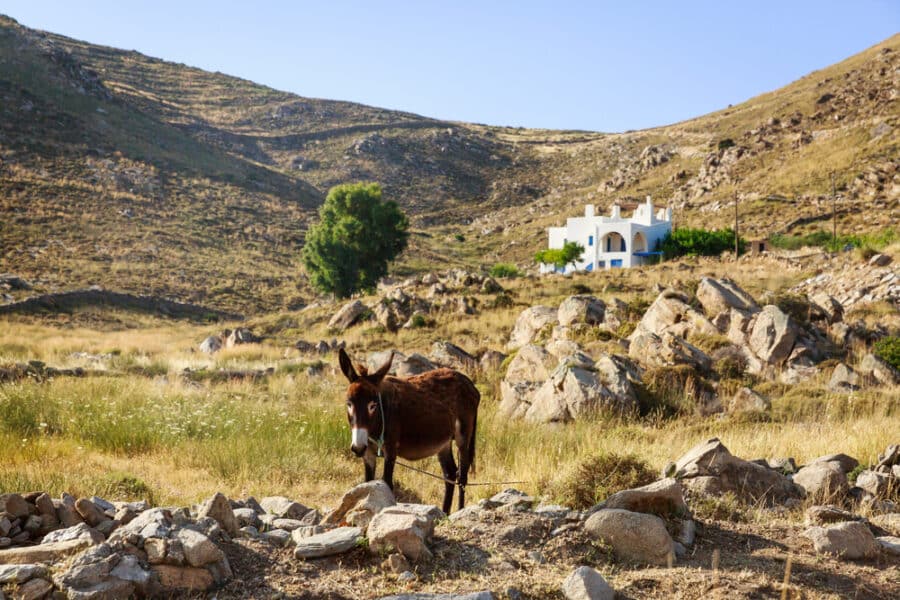 Cyclades Island Hopping - Paros Island