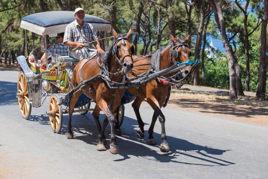 Turkish Islands - Phaeton in Prince Island Buyukada . Turkey