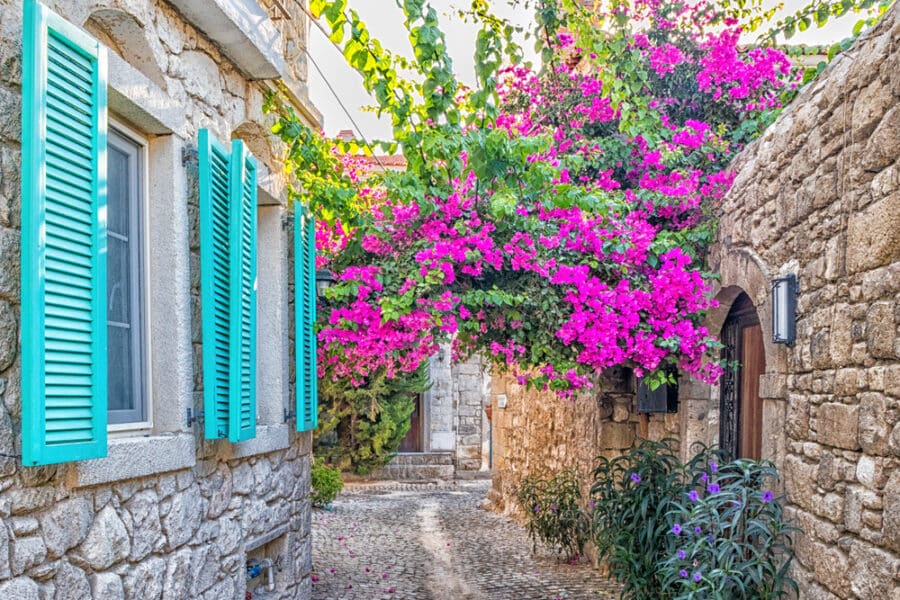 Turkey Hidden Gems - Blue shutters on a house and purple bougainvillea in a narrow street in Alacati,Izmir, Turkey