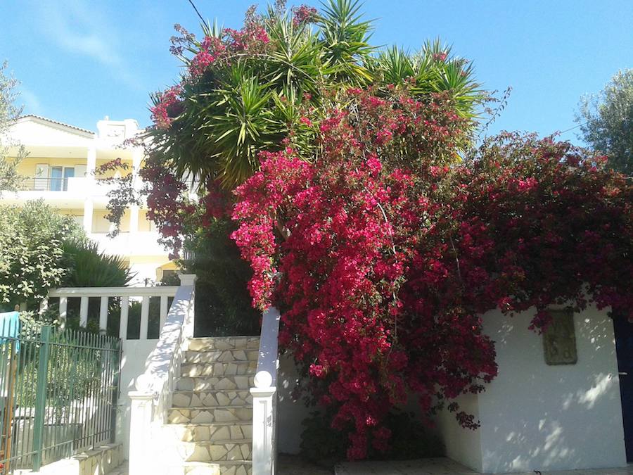 Greece Travel Blog_Saronic Islands Guide_Where To Stay In Poros_Villa Dolphins
