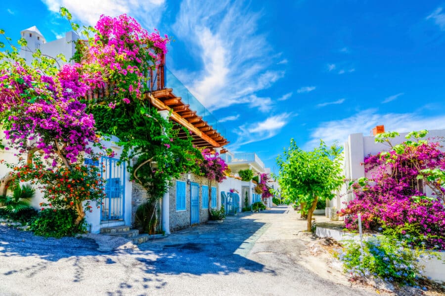 View of Bodrum Street in Turkey