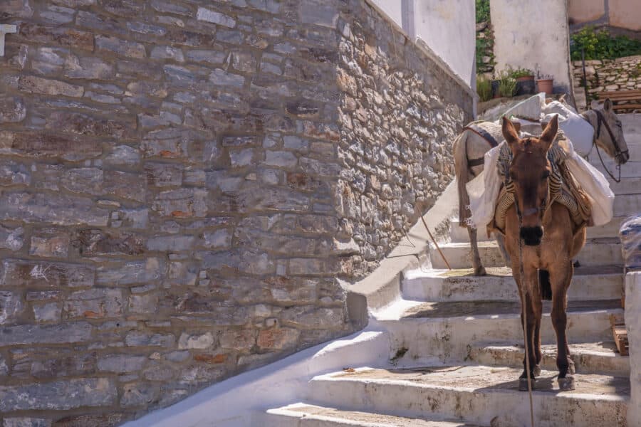Kea Island Greece Guide - Greece, Kea island. Ioulis city narrow street with stairs and mules donkeys used for goods transport