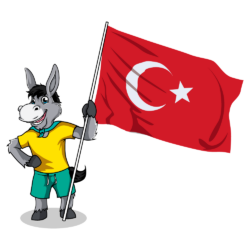 Did Turkey Change Its Name To Turkiye