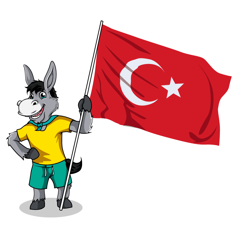 Did Turkey Change Its Name To Turkiye