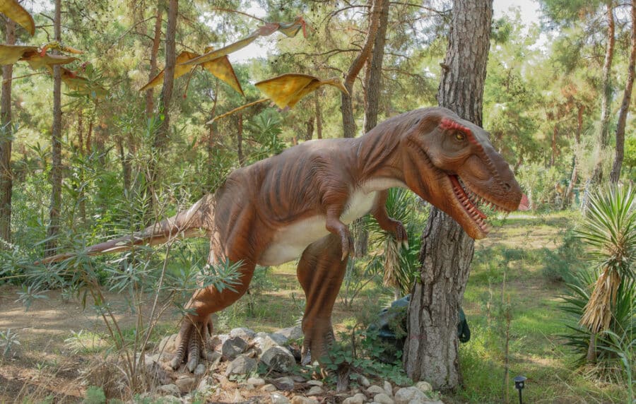 Theme parks in Turkey - Dinopark
