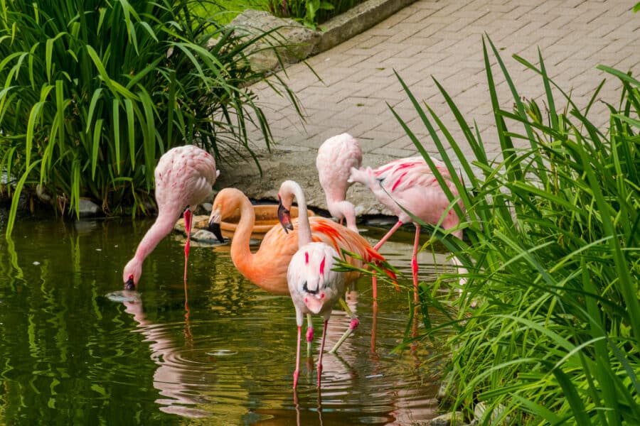 Where to stay in Izmir - Izmir Wildlife Park