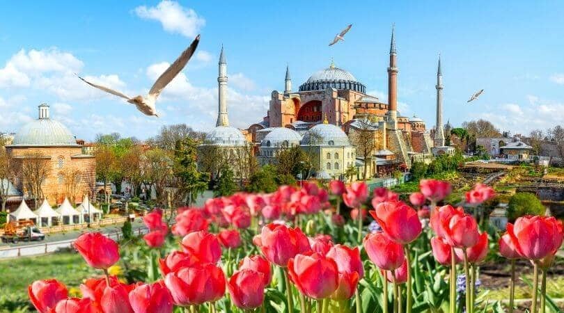 Turkey Travel Blog_Best Festivals In Istanbul_Tulip Festival