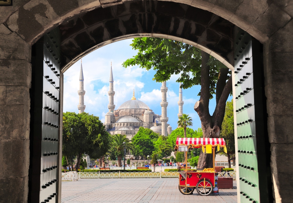 Lesser Known Istanbul Street Foods -