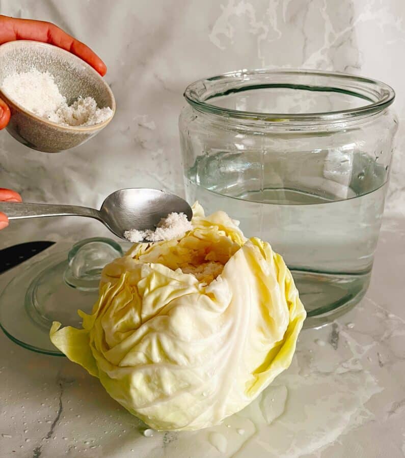 How To Make A Sour Cabbage In 6 Steps Chasing the Donkey