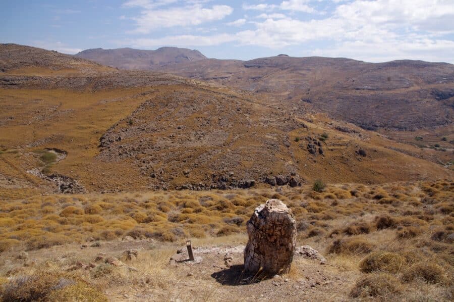 Petrified Forest Of Lesbos
