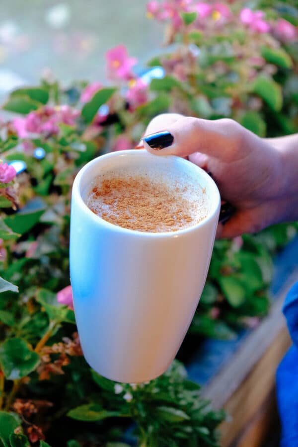 Traditinal Turkish drink, Sahlep, milky hot drink