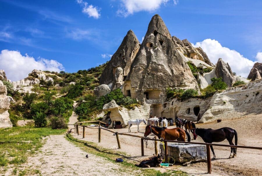 Horses in stable, Goreme, Cappadocia, Turkey